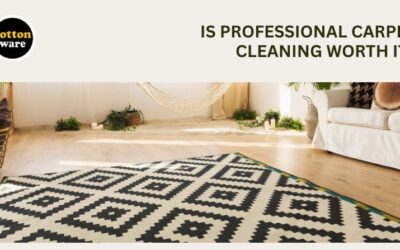 Is Professional Carpet Cleaning Worth It