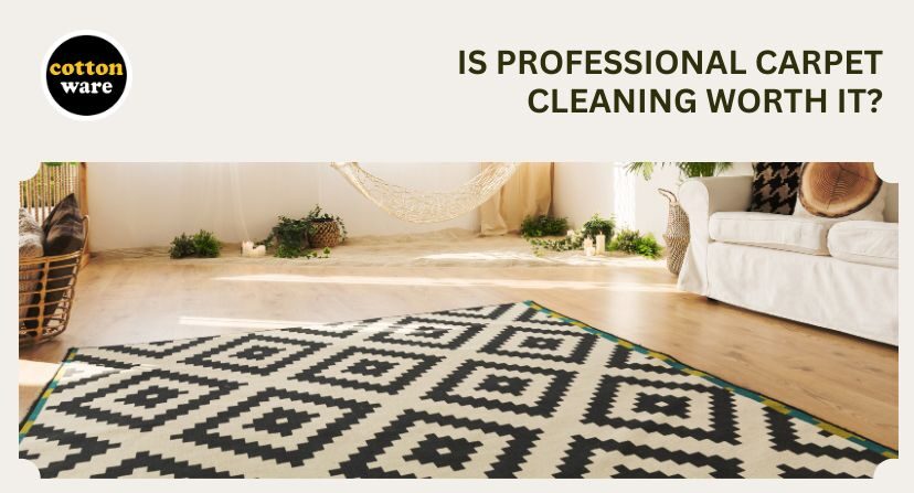 Is Professional Carpet Cleaning Worth It